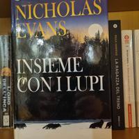 Nicholas Evans 3 libri L'uomo che sussurrava 
