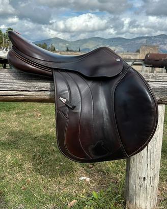 Sella Equipe Carbon Allegra 17,5