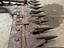 Immagine 5