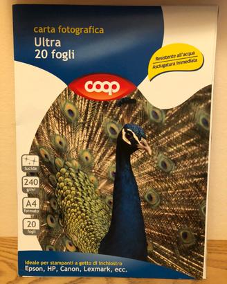 Carta Fotografica EPSON-HP-CANON-LEXMARK