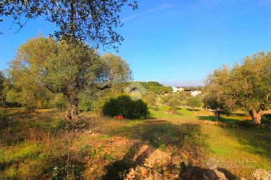CASA DI CORTE A OSTUNI