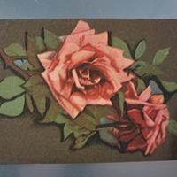 Cartolina postale del '900