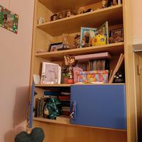 libreria + scrivania 