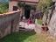 Immagine 6