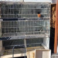  voliere 120x40x40, 45x25x25 e altro