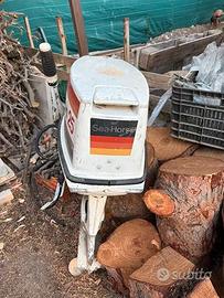 Jhonson 25 CV motore in perfette condizioni