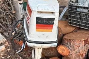 Jhonson 25 CV motore in perfette condizioni