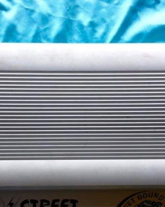 Amplificatore Steg 310x2