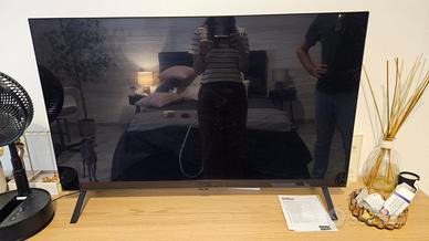 TV LG OLED 48" (modello OLED48A26LA)