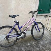 Mountain bike bicicletta da donna