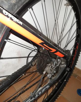 Bici elettrica WHISTLE