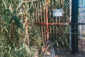 terreno agricolo 