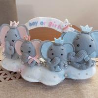 decorazione scenografica per Gender Reveal party