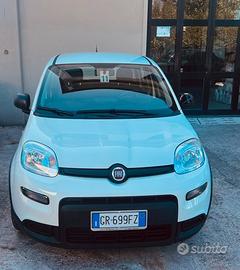 Fiat Panda 1.0 ibrida benzina Anno dicembre 2023