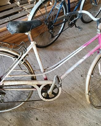 bicicletta 
