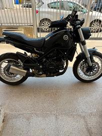 Benelli Leoncino 500 Trail