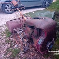 motozappa  pasquali