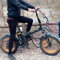 Bicicletta elettrica