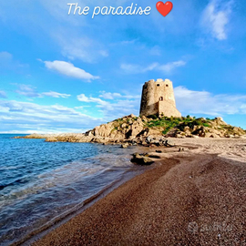 Affiitto bilocale in ogliastra