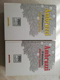 dizionario spagnolo-italiano 