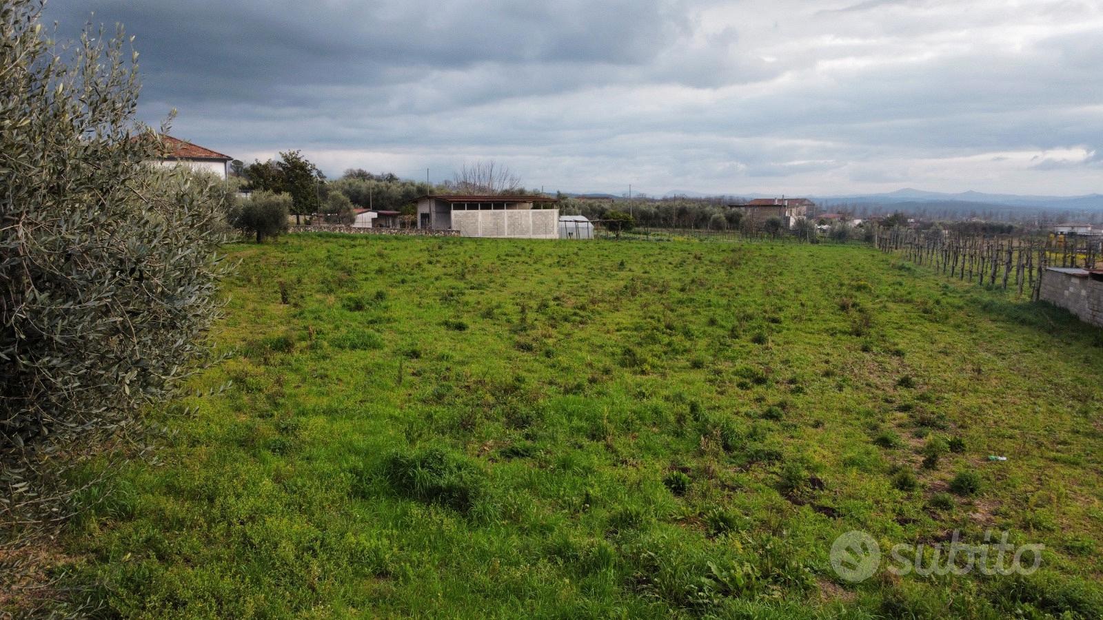 Terreno edificabile con uliveto 5.671 mq - Vista 4