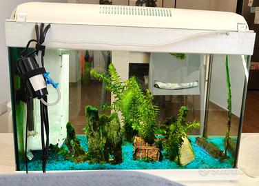 Acquario per abitazione moderna