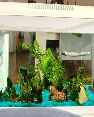 Acquario per abitazione moderna