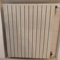 Termosifoni in ghisa