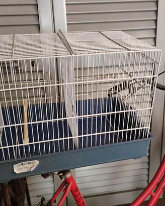 Gabbie x uccelli o criceto o simili