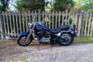 Kawasaki vn 800 classic 2004
