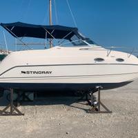 Barca  Stingray
