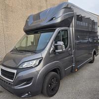 Van trasporto 2 cavalli Peugeot Boxer 180 Hp