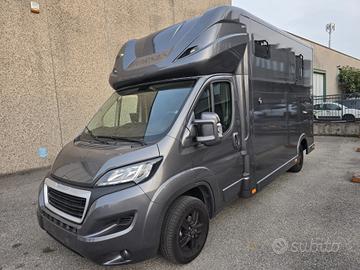 Van trasporto 2 cavalli Peugeot Boxer 180 Hp