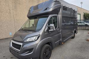Van trasporto 2 cavalli Peugeot Boxer 180 Hp