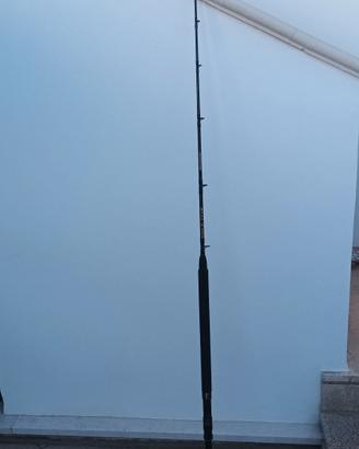 canna da pesca 