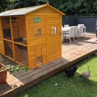 Pollaio con galline tutto compreso