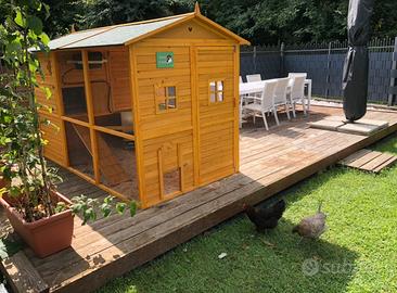 Pollaio con galline tutto compreso