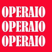 Operaio/mec,grafica,tessile,stampaggio,prod.ind