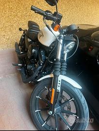 Splendida 883 Harley