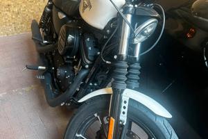 Splendida 883 Harley