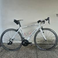 Bicicletta ciclismo da donna