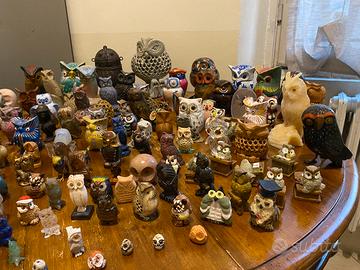 Collezione gufi