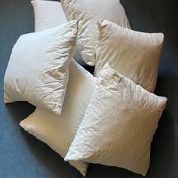 Cuscini in piuma d’oca