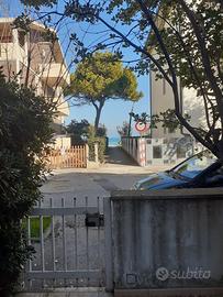 A 20 passi dal mare e dalla pineta.Fino a 8 posti