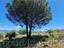 Immagine 8
