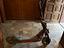 Immagine 4