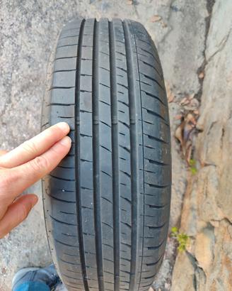 Gomme estive
