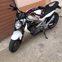 Suzuki gladius 650