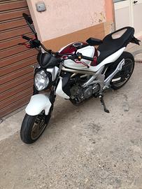 Suzuki gladius 650