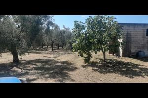 terreno con rustico 